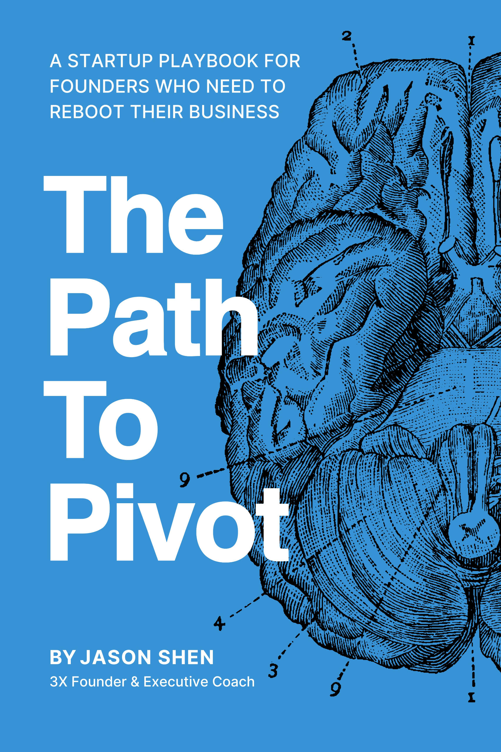 Path-to-Pivot-Cover
